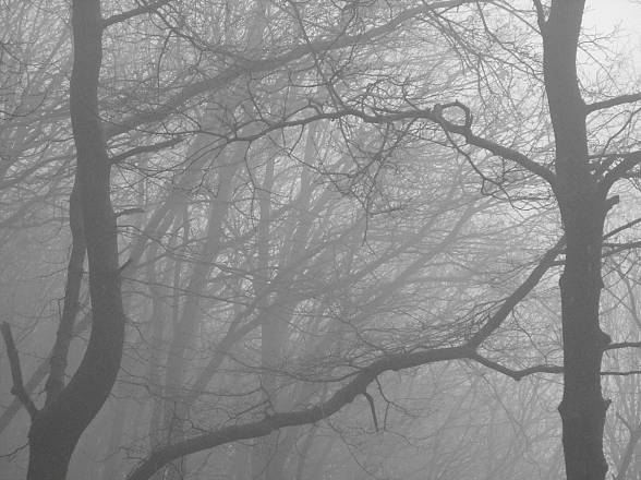 Fabiana bassetti. infiniti istanti